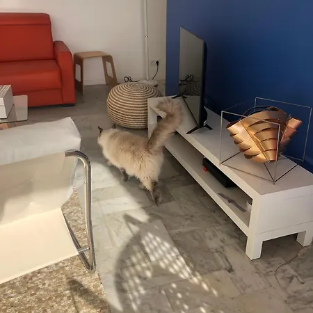 Des Doux Apartament Mauguio