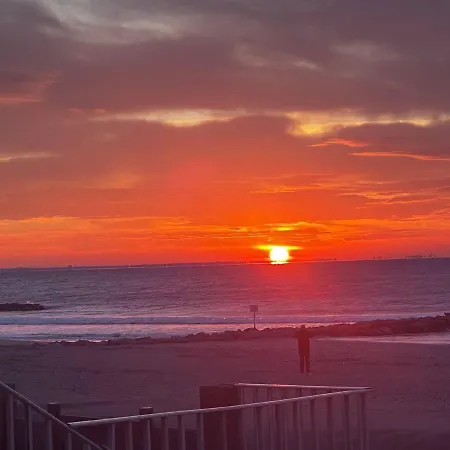 Des Doux * 모기오